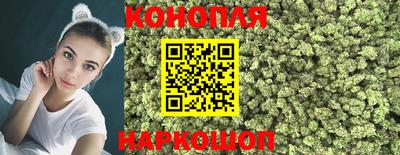 молекула духа Будённовск