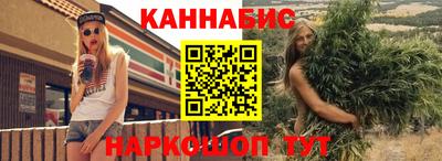молекула духа Будённовск