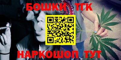 молекула духа Будённовск