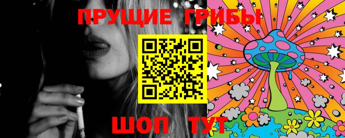 Мончегорск  Галлюциногенные грибы Cubensis  Вход с VPN 
