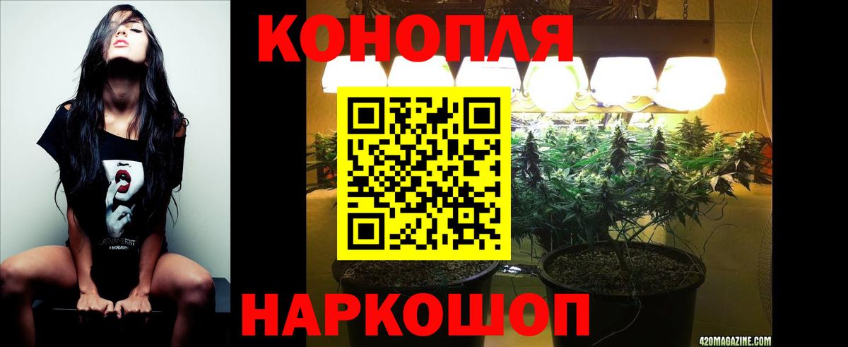 Марихуана индика  Шишки марихуана Amnesia  Канабис White Widow  Вход с VPN  Мончегорск 